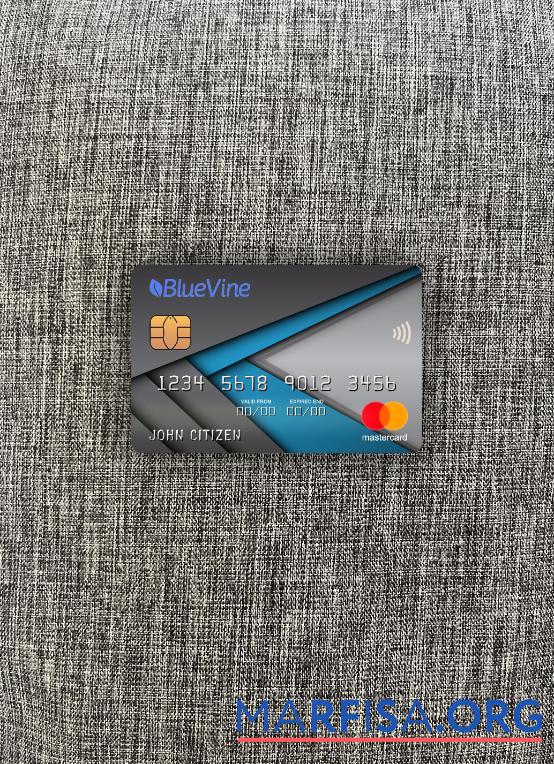 Printable USA California BlueVine bank mastercard photolook front real example